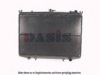 NISSA 2140073P00 Radiator, engine cooling